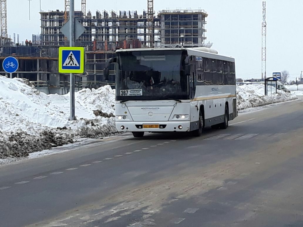 Автобусы пригород лесное домодедовская. Автобус 367 пригород Лесное. Маршрут 871к Домодедовская пригород Лесное. Автобусы 871 к пригород Лесной. Пригород Лесное очередь на автобус.